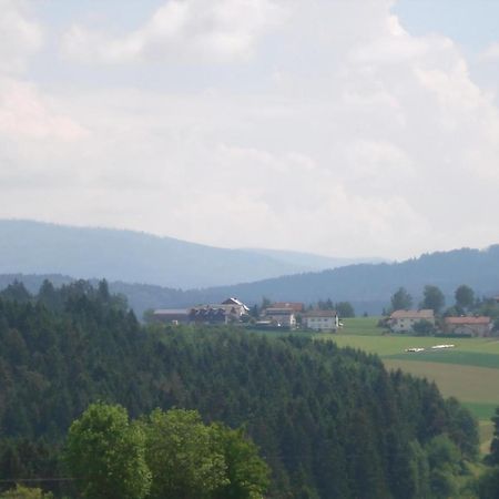 Ferienwohnung Rachel Mit Herrlichem Ausblick Rinchnach Bagian luar foto