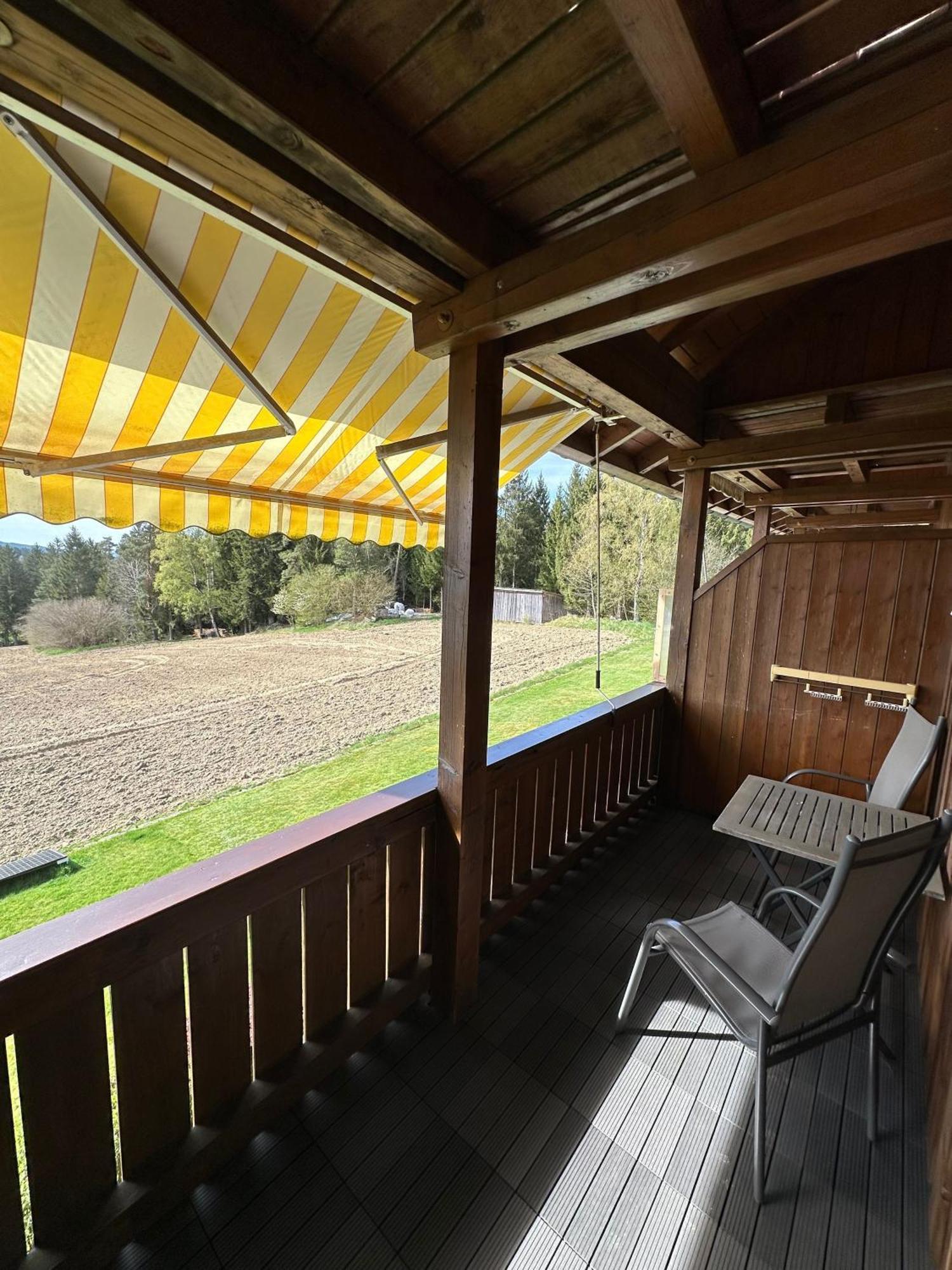 Ferienwohnung Rachel Mit Herrlichem Ausblick Rinchnach Bagian luar foto