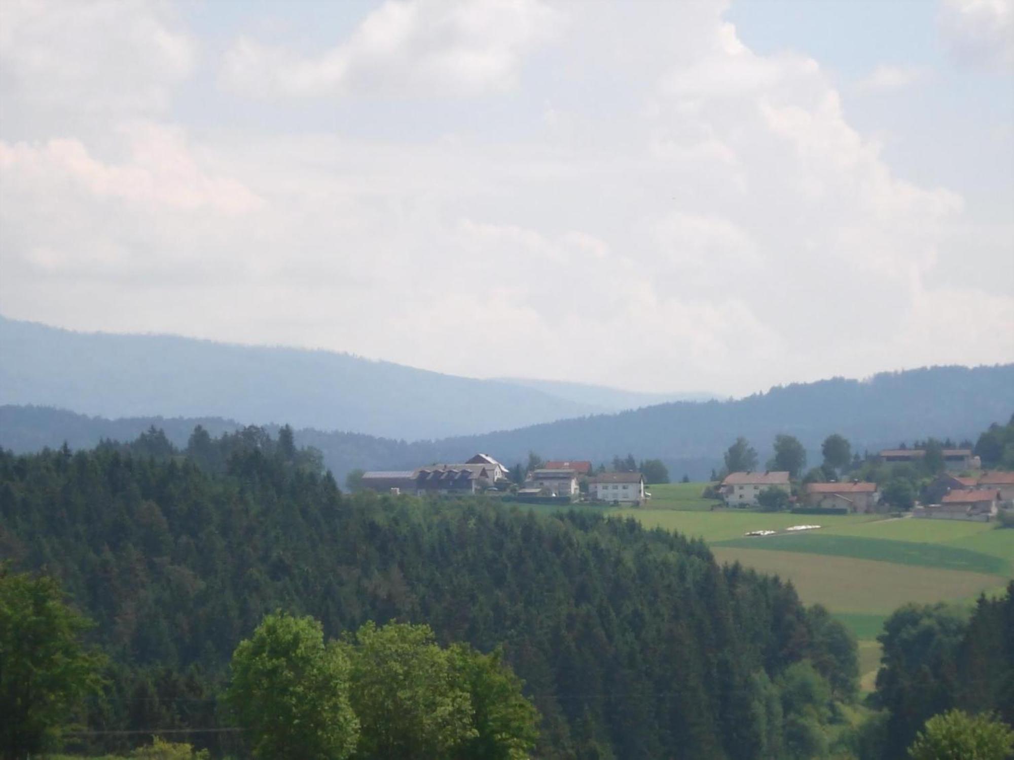Ferienwohnung Rachel Mit Herrlichem Ausblick Rinchnach Bagian luar foto